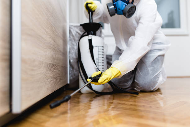 Trusted Kent, WA Pest Control Experts