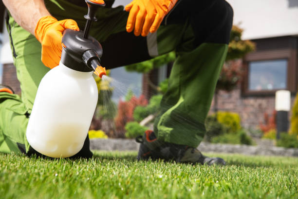 Pest Control Cost in Kent, WA