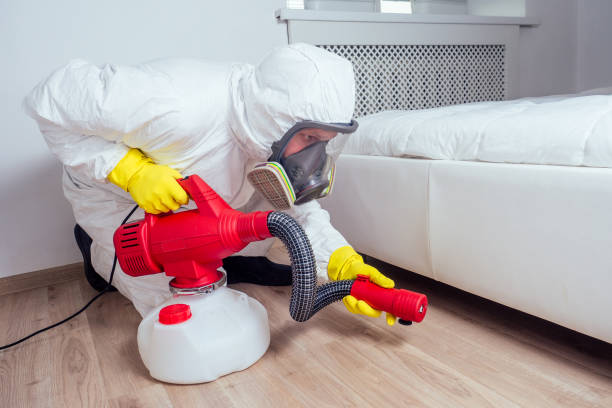 Best Local Pest Control Services  in Kent, WA