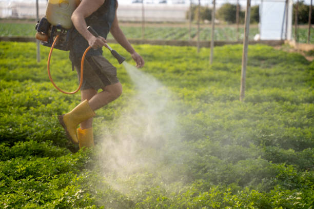 Best Pest Inspection Near Me  in Kent, WA